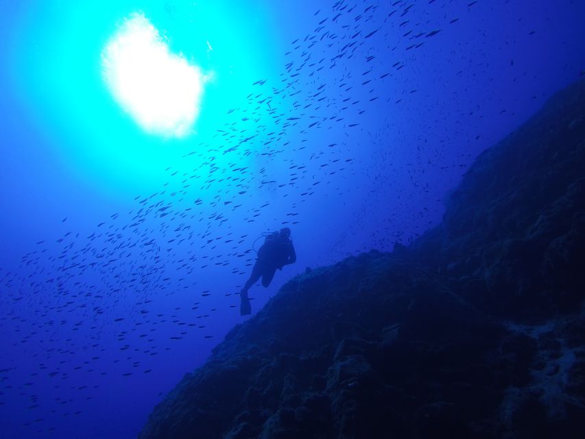 Santorini: Scuba Diving Experience for Beginners - Pricing and Availability