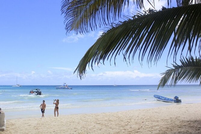 Saona Island and Snorkeling From Punta Cana - Additional Details Disclosed