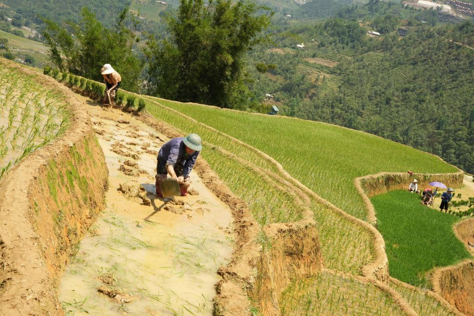 Sapa Daily Trip: Easy Trekking and Hotel 2 Days 1 Night - Additional Information