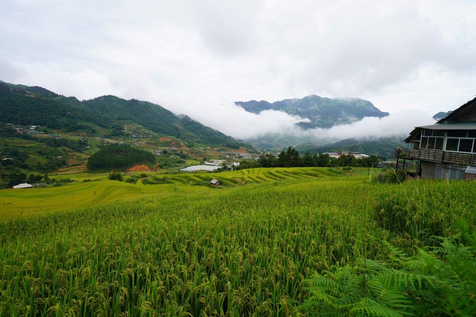 Sapa Full Day Trip To Ta Phin - Cat Cat Village With Lunch