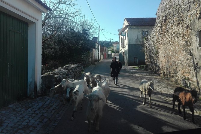 Schist Villages of Lousã and Limestone Villages of Sicó, Full-Day From Coimbra - Directions and Meeting Point Information