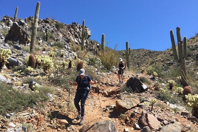 Scottsdale Desert Classic Hiking Adventure - Logistics and Physical Requirements