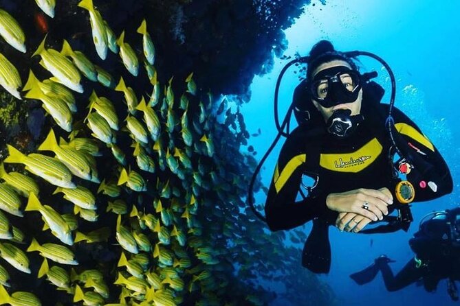 Scuba Diving Adventure in Dubai - Safety and Training