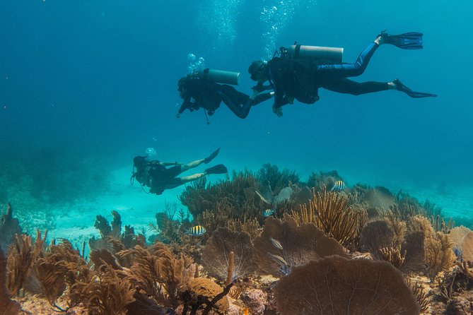 Scuba Diving in Cozumel Island - Safety Measures and Guidelines