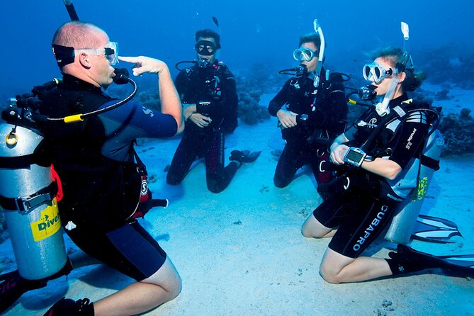 Scuba Diving in Fujairah With Private Transfers - Additional Assistance Available