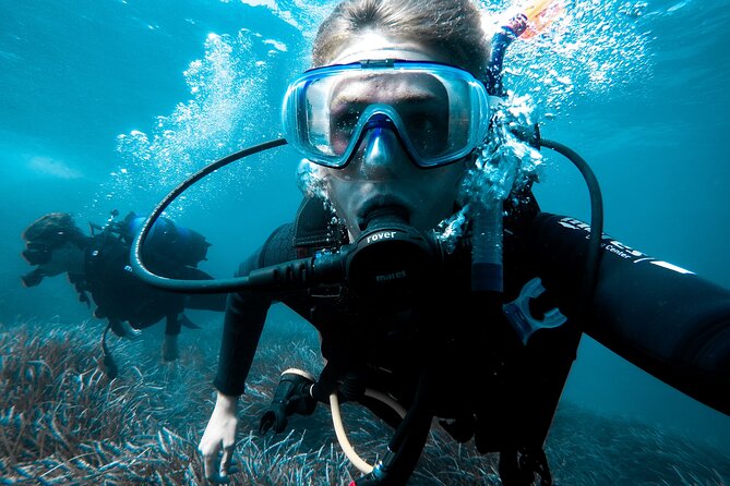 Scuba Diving Tour From Abu Dhabi to Dubai - Common questions