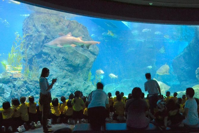 SEA LIFE Ocean World in Bangkok Admission Ticket - Accessibility and Cancellation Policy