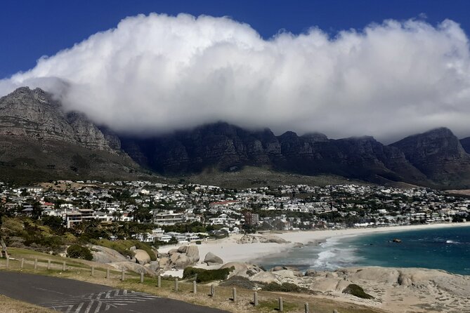 Seal Island,Cape of Good Hope&Penguins Shared Tour,From Cape Town - Reviews Overview