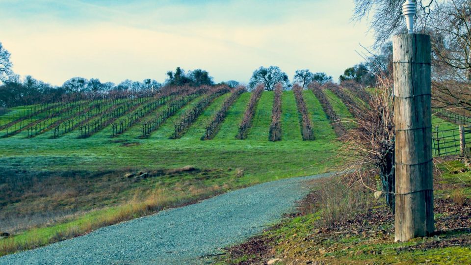 Self-Guided Wine Tasting Audio Tour - Amador County CA - Meeting Point and Logistics