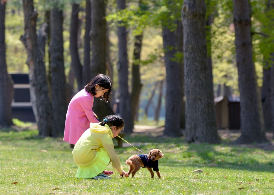 Seoul: Alpaca World & Nami Island (Optional Korean Garden) - Highlights of the Journey