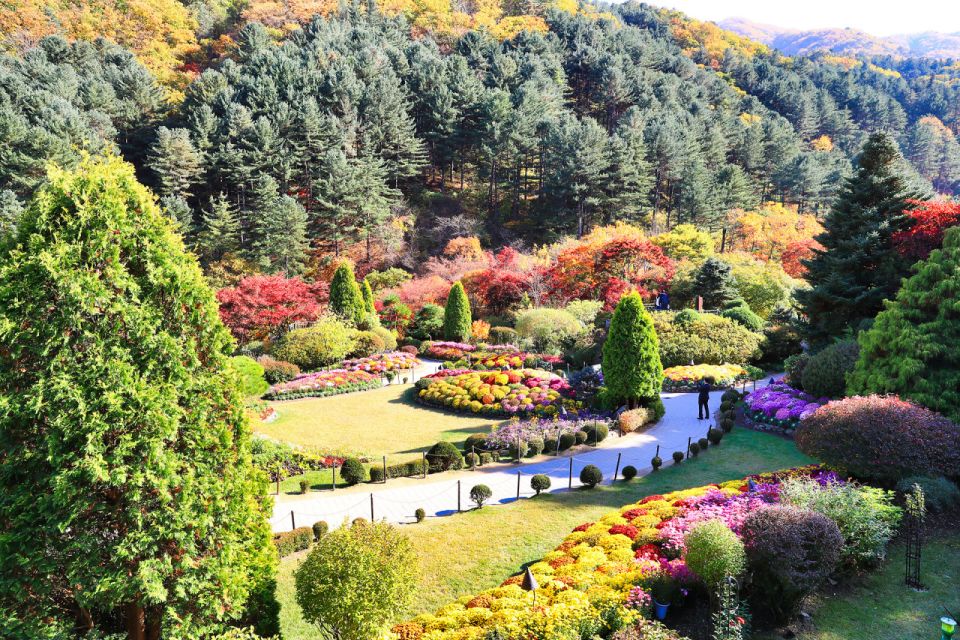 Seoul: Nami Island and Garden of Morning Calm Day Trip - Date Availability