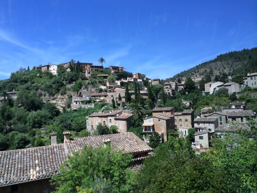 Serra De Tramuntana Half-Day Tour: Soller and Valldemosa - Logistics