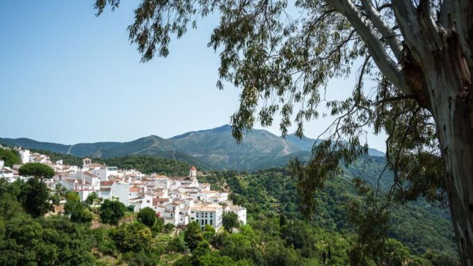 Seville: Enchanting White Villages & Ronda Exploration - Immerse in Nature and History