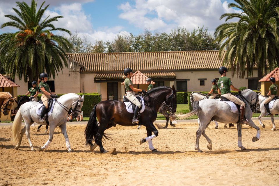 Seville: Horse Show Entry Ticket. Optional Stud Farm Visit - Customer Reviews