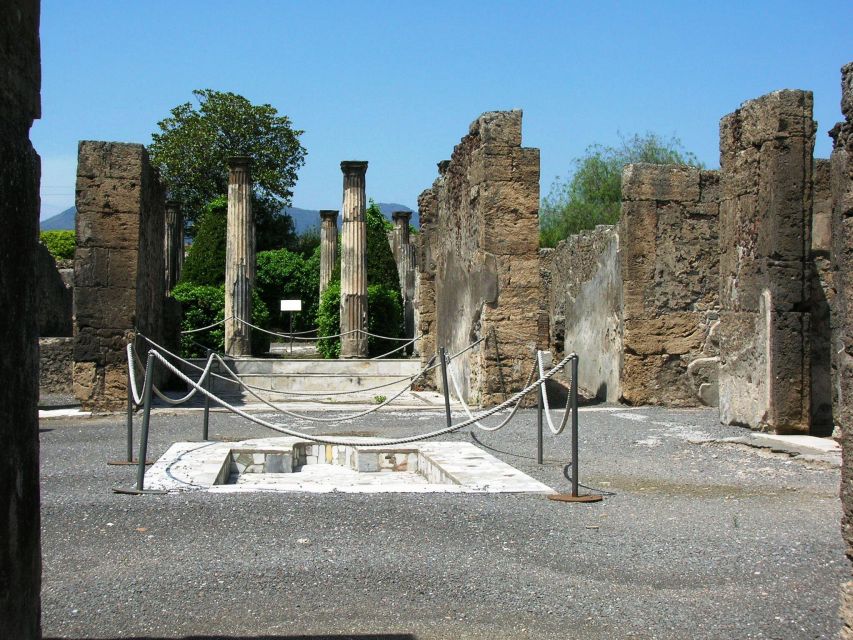 Shared Group: Pompeii Tour and Wine Tasting - Inclusions