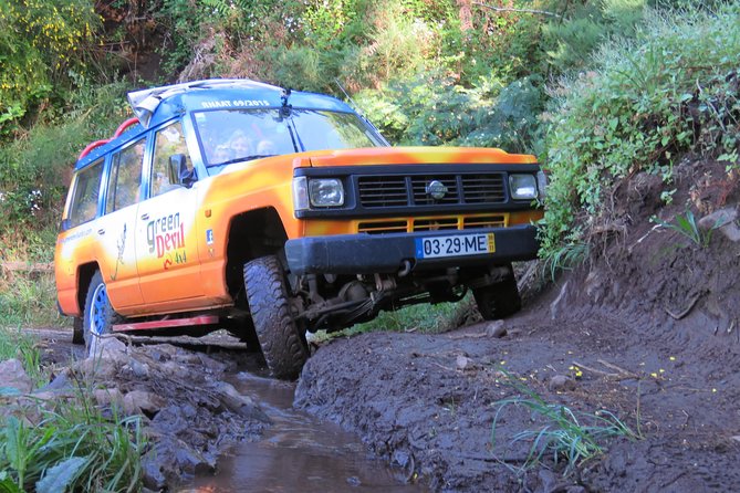 Shore Excursion - Santana & Peaks 4x4 Tour - Customer Reviews