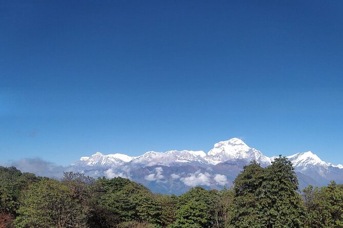 Short Annapurna Base Camp Trek From Pokhara - 6 Days - Highlights of the Trek