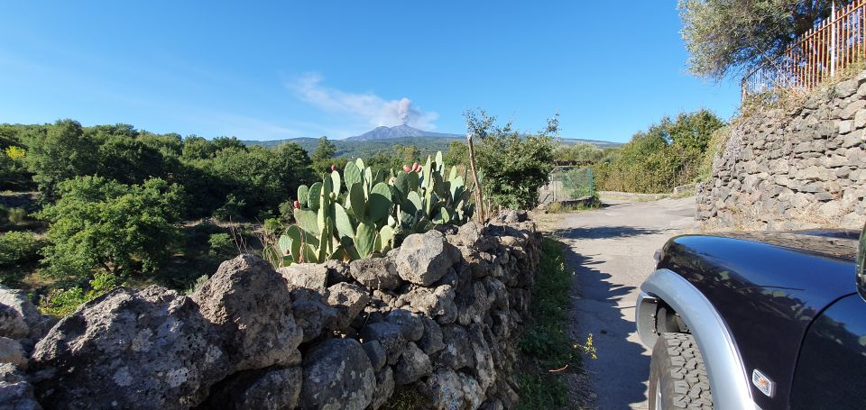 Sicily: Mount Etna 4x4 Jeep Tour With Lava Caves & Forests - Tour Services and Exclusions