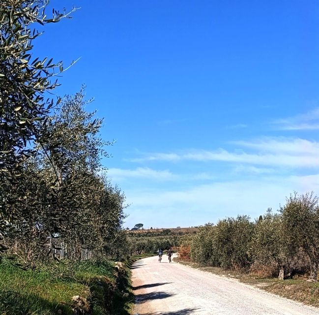 Siena: E-Bike Tour in the Chianti Senese With Lunch - Important Information