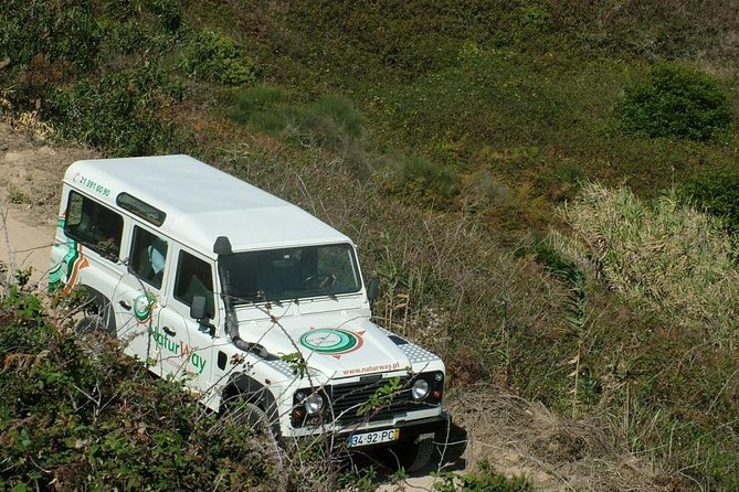 Sintra Jeep Full Day - Immerse Yourself in Sintras Culture