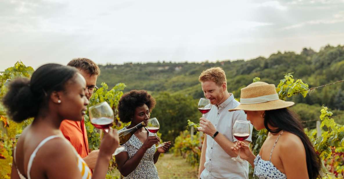 Sip and Savor: Private Yarra Valley Wine Tour From Melbourne - Wine Tour Itinerary and Lunch