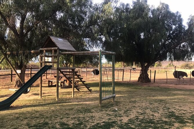 Skip the Line: Highgate Ostrich Farm Tour Ticket - Booking Process