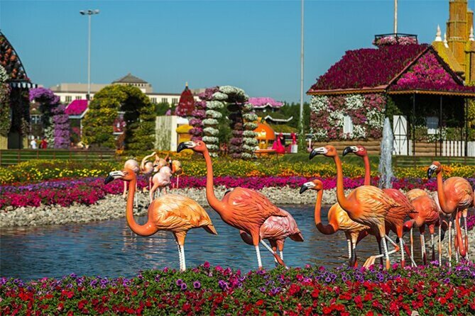 Skip The Line to Dubai Miracle Garden Entry Ticket - Last Words