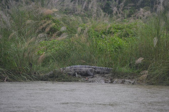 Small-Group 3-Day Safari, Chitwan National Park From Kathmandu - Booking and Logistics