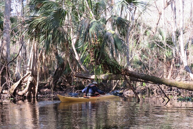 Small Group Blackwater Creek Scenic River Kayak Tour With Lunch - Tour Specifics