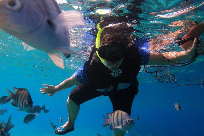 Snorkel Along the Coast, Explore Two Reefs by Chivis Del Mar - Booking Information