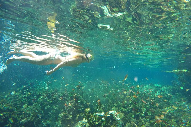 Snorkeling Adventure Tour Reef & Cenote - Directions