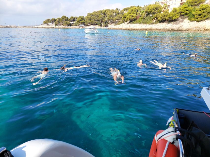Snorkeling Experience Onboard of E-Catamaran at Palma Bay - Meeting Point Details