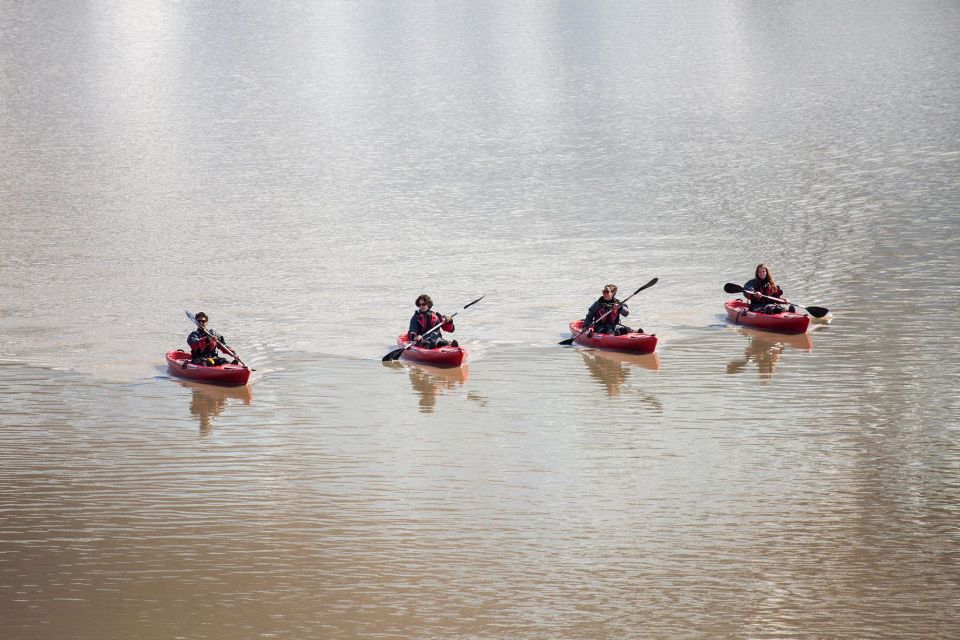 Sólheimajökull: Kayaking by the Glacier - Booking Information