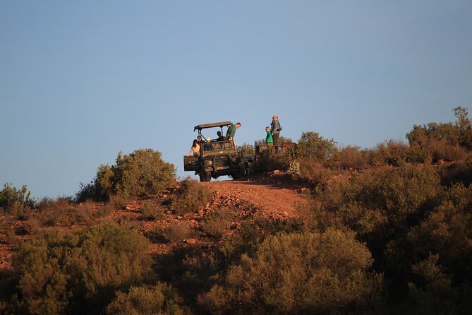 South African Bush Safari in Oudtshoorn  - Western Cape - Meeting and Pickup Details