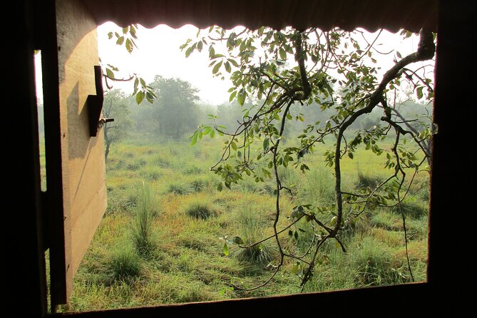 Spend a Night in a Tree House in Bardiya - Booking Information