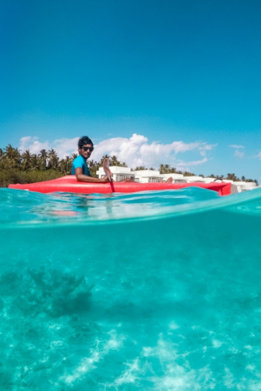 St. Petersburg, FL: Weedon Island Kayak Tour - Last Words