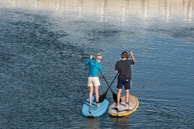 Stand up Paddle Board Hire Knysna 2 Hour - Reviews and Contact Information