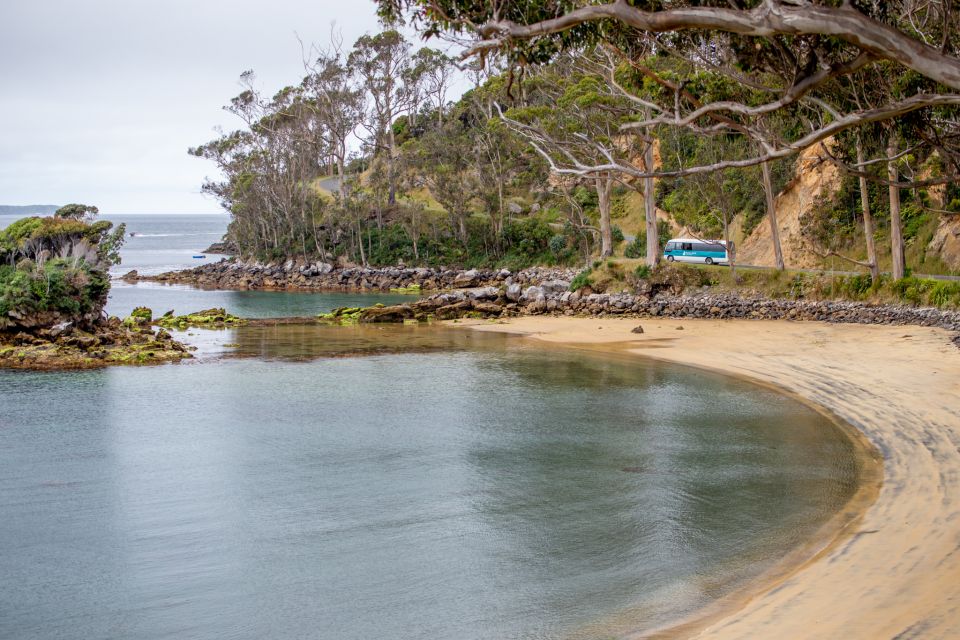 Stewart Island: Village and Bays Tour - Customer Reviews and Experiences