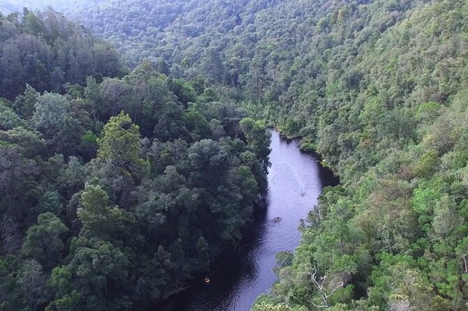 Stormsrivier Private Plaatbos Reserve Water Tour  - Tsitsikamma National Park - Reviews and Contact