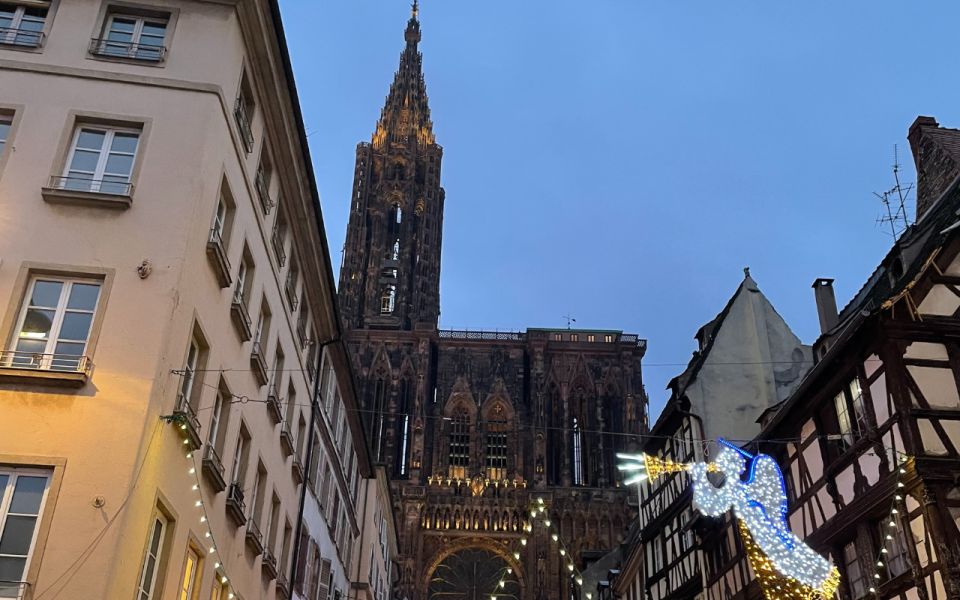 Strasbourg: Christmas Markets Walking Tour With Mulled Wine - Pricing and Duration