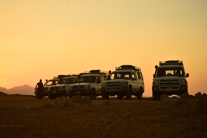 Sunset Safari Trip by Jeep - Customer Reviews and Ratings Overview