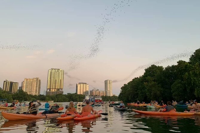 Sunset Skyline Kayak Tour - Safety Precautions