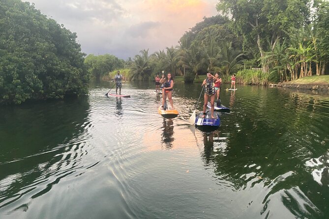 Sunset Stand up Paddle With Photos and Turtles - Reviews and Support