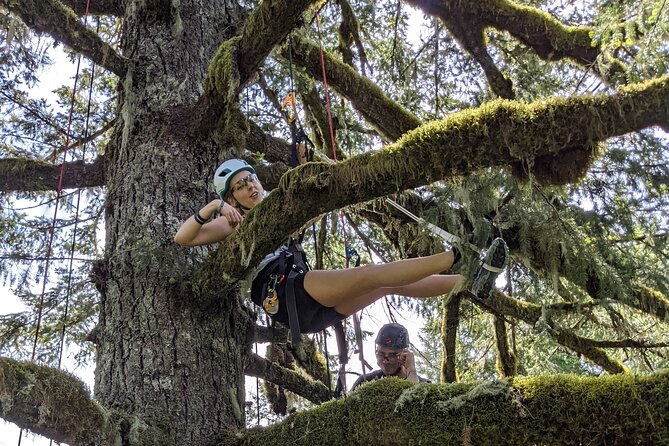 Sunset Tree Climb at Silver Falls State Park - Logistics and Schedule