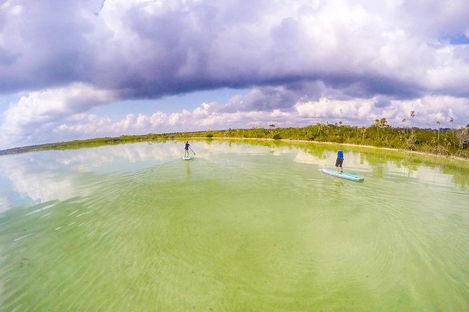 SUP Lagoon Tour- Private Paddleboard Tour - Pricing Information