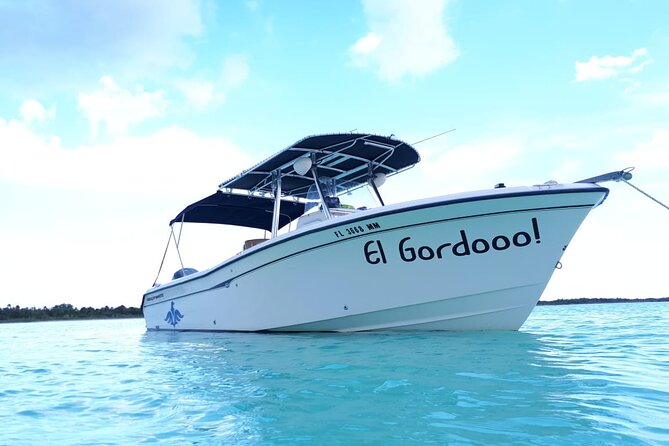 Super Cozumel Combo Snorkel by Boat and Jeep Exploration (Private) - Customer Reviews and Highlights