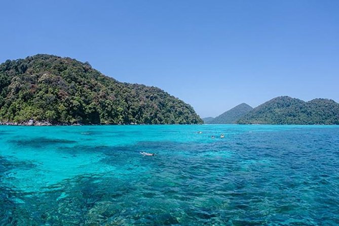 Surin Islands Speedboat Snorkeling Tour From Phuket - Customer Reviews