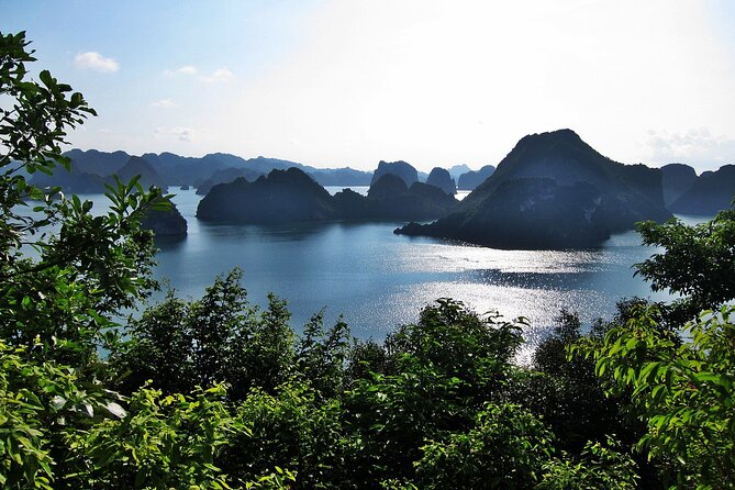 Swan Cruise Halong Bay 2Days 1Night on 4 Star Cruise - Customer Reviews and Testimonials