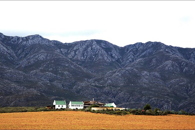 Swartberg Pass Tour Including Traditional Karoo Lunch - Reviews and Additional Information