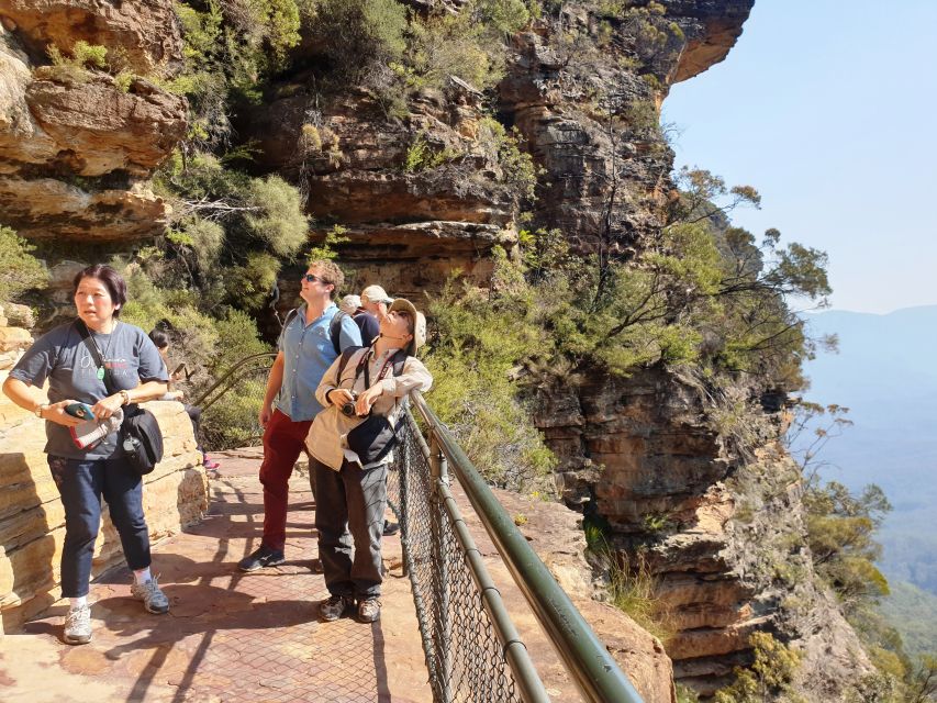 Sydney: Blue Mountains Waterfalls and Koalas Late Start Tour - Important Information